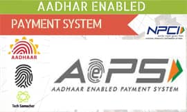 Aadhaar Enabled Payment System api white label